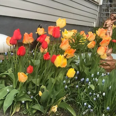 Med Panoramautsikt, Stor Uteplass Og 100 M Fra Badestrand Βίλα *