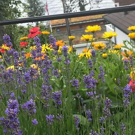 فيلة Villa Med Panoramautsikt, Stor Uteplass Og 100 M Fra Badestrand