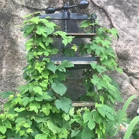 Βίλα Med Panoramautsikt, Stor Uteplass Og 100 M Fra Badestrand Μπέργκεν