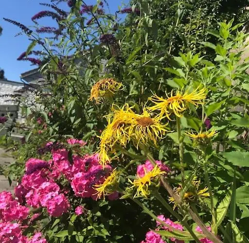Вилла Med Panoramautsikt, Stor Uteplass Og 100 M Fra Badestrand Берген