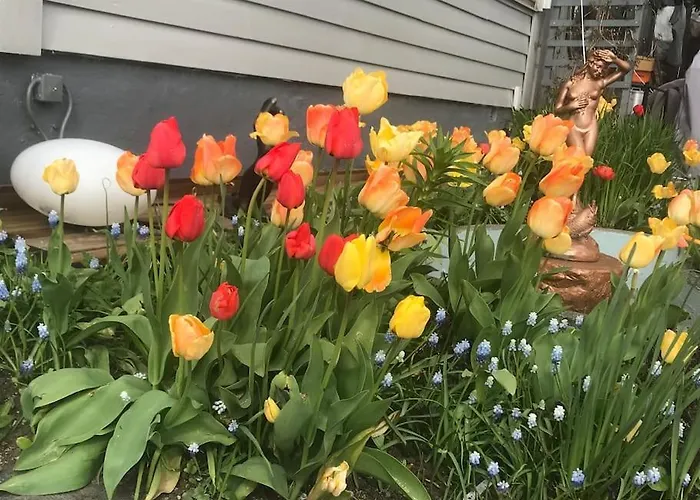 Med Panoramautsikt, Stor Uteplass Og 100 M Fra Badestrand Вілла *