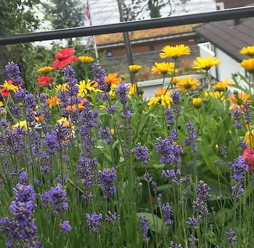 Вилла Med Panoramautsikt, Stor Uteplass Og 100 M Fra Badestrand
