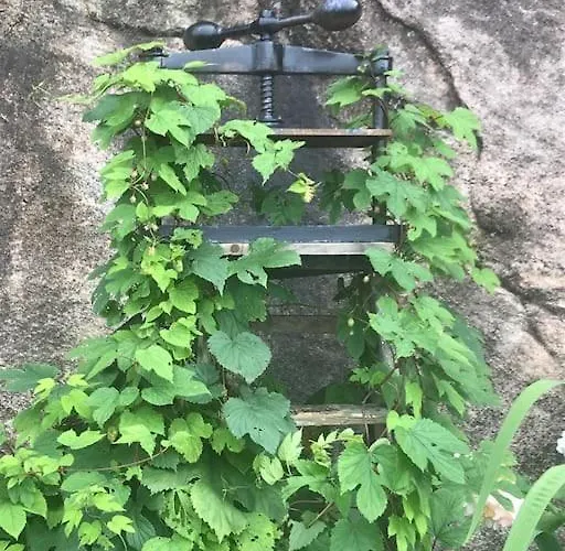 Вілла Med Panoramautsikt, Stor Uteplass Og 100 M Fra Badestrand Берген